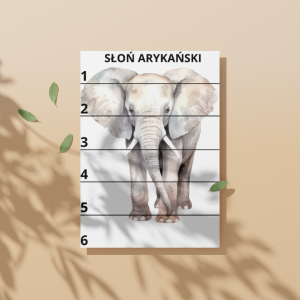 Zwierzęta Afryki puzzle