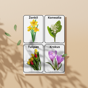 Wiosenne kwiaty + gra